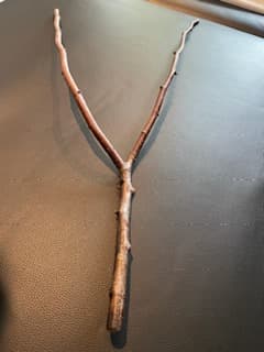 Baguette de sourcier en Y, taillée dans le bois
